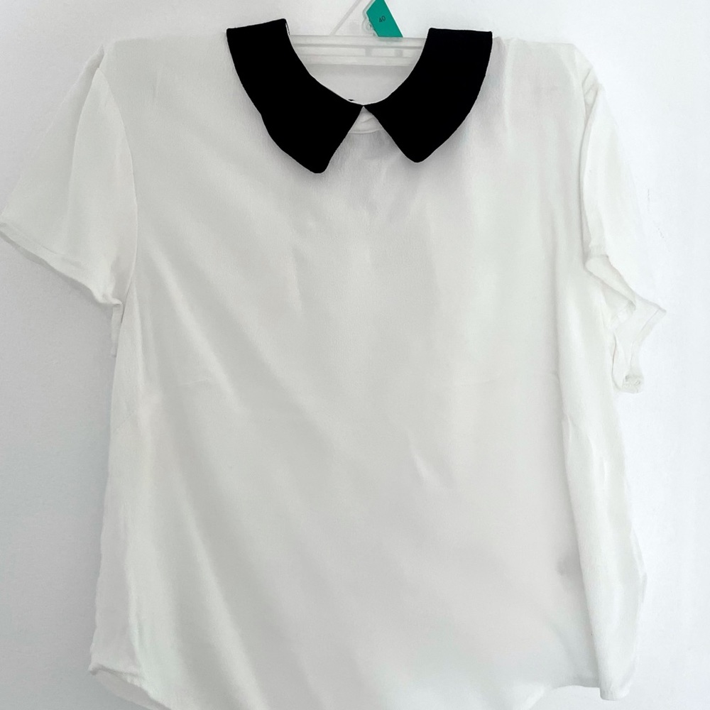 Aritzia Sunday Best Classic Basic Collar Blouse